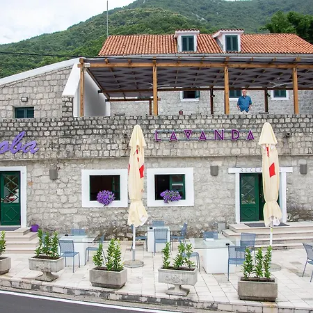Lavanda * Podgorica